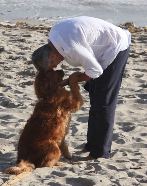 George Clooney pressing his head against his Golden Retriever's head sitting on the sand by the beach