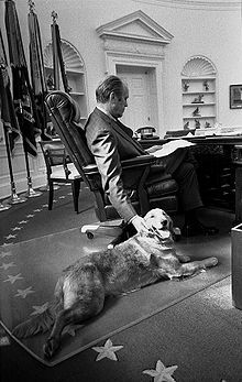 Gerald Ford sitting on the chair while petting his Golden Retriever lying down on the floor