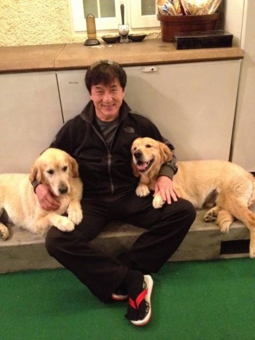 Jackie Chan in the between his two Golden Retrievers