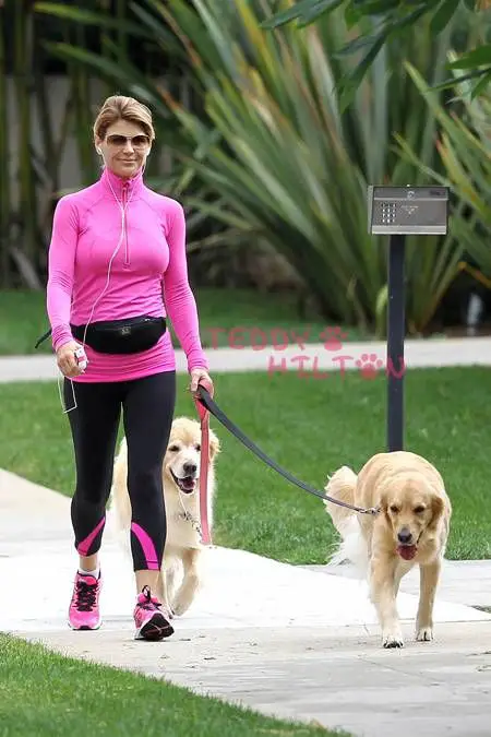 Lori Loughlin walking in the street with her two Golden Retrievers
