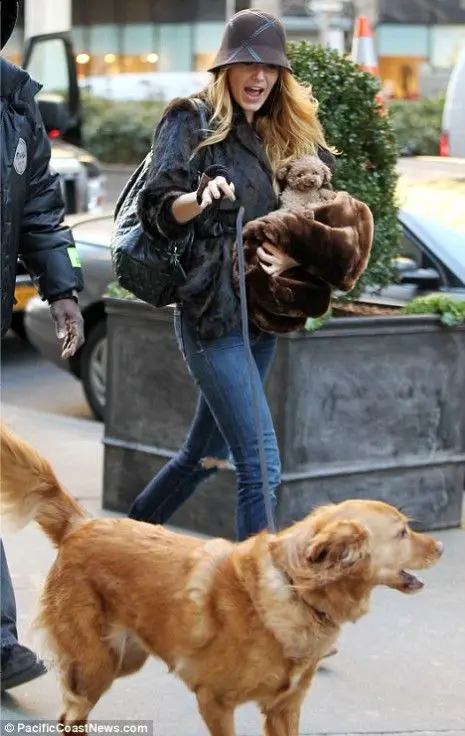 Blake Lively walking in the street with her Golden Retriever