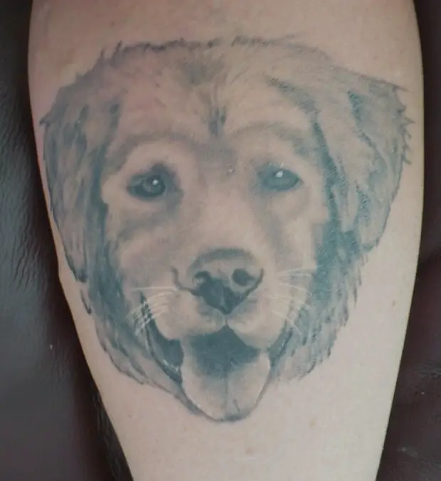 soft tattoo face of Golden Retriever smiling with its tongue out