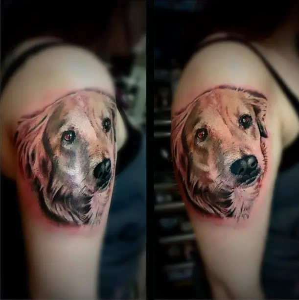 realistic face of Golden Retriever with red shadow tattoo on the shoulder