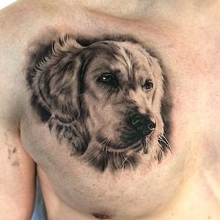 3D face of Golden Retriever Tattoo on the chest