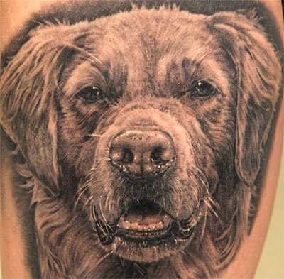 3D face of Golden Retriever Tattoo