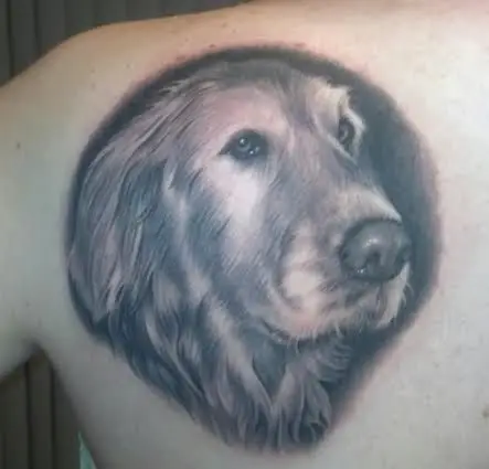 3D face of Golden Retriever Tattoo on the back