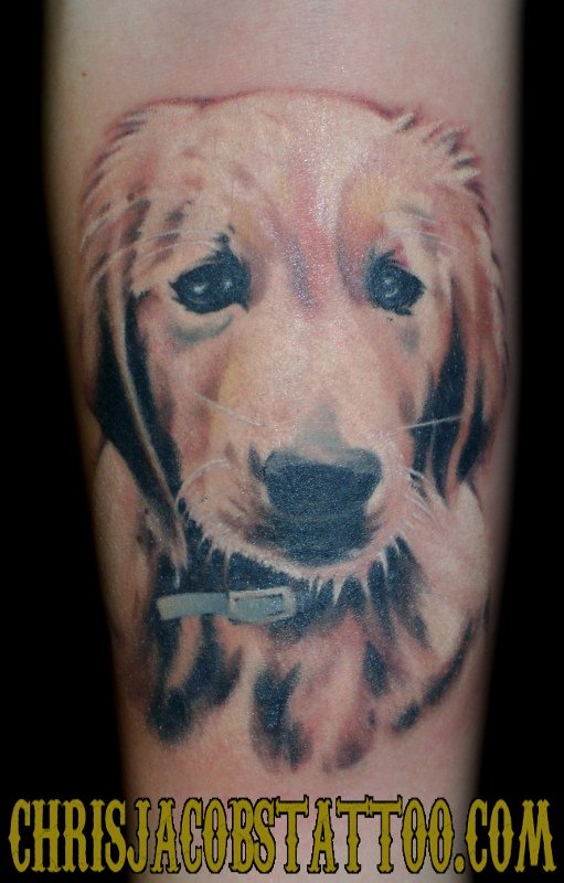 realistic face of Golden Retriever Tattoo
