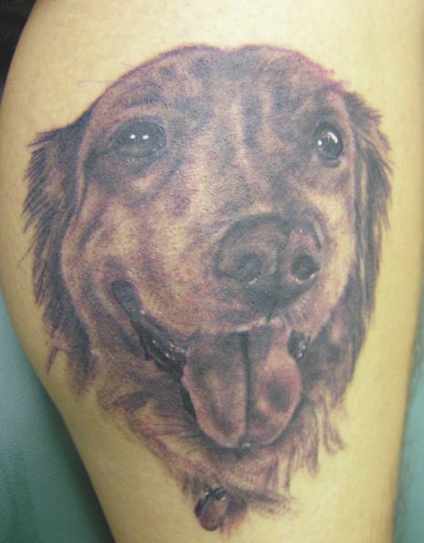 smiling face of Golden Retriever Tattoo