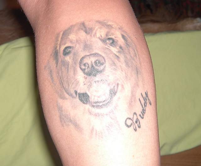 soft tattoo of smiling Golden Retriever on the forearm