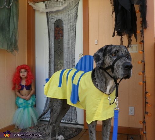 Great Dane wearing a flounder costume while a kid in ariel costume standing behind her