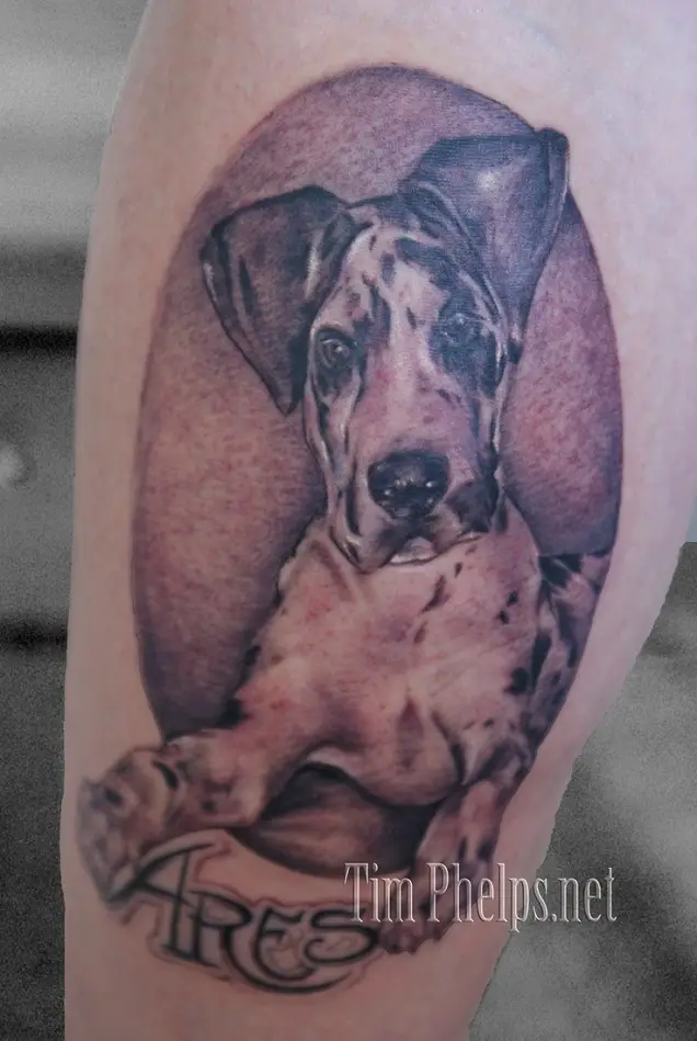 3D Great Dane lying down tattoo with its name 