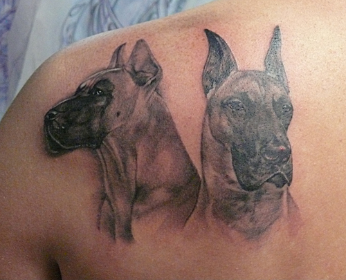 two 3D Great Dane tattoos on the back