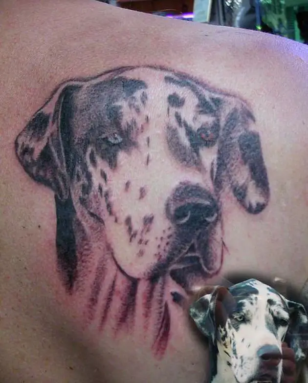 3D face of a Great Dane with blue and orange eyes tattoo on the back