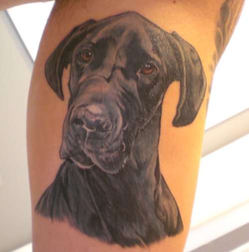 realistic face of a black Great Dane tattoo on biceps