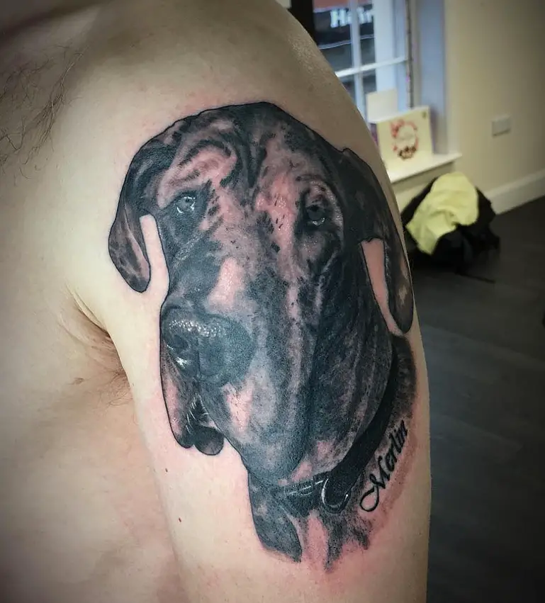 sad realistic face of a Great Dane tattoo on the shoulder