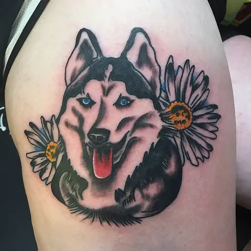 Husky with its tongue sticking out and with two daisies tattoo on the shoulder