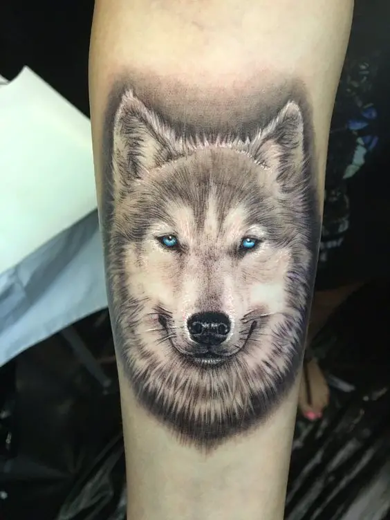 realistic gray and white Husky with blue eyes tattoo on the leg
