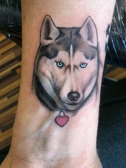 black and white Husky with blue eyes and wearing a heart necklace tattoo on the ankle