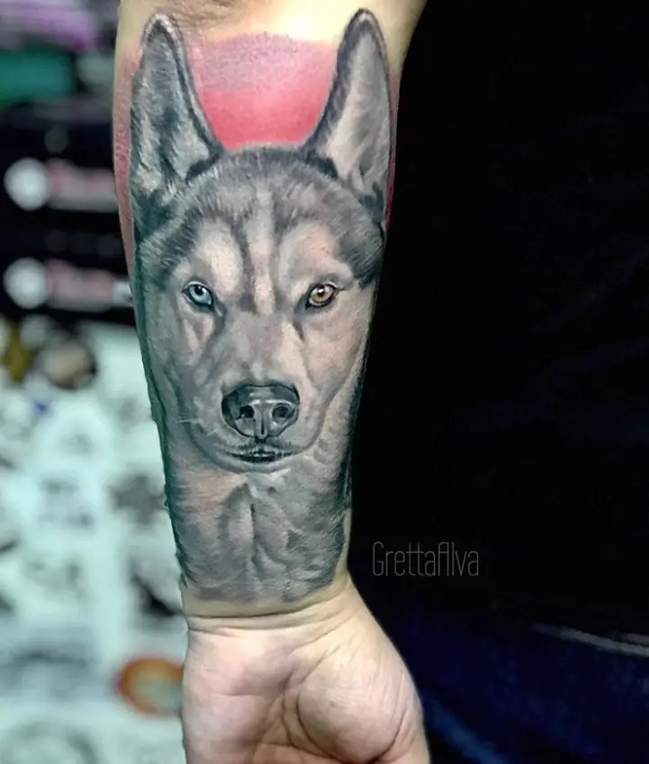 face of Husky Dog tattoo on the forearm