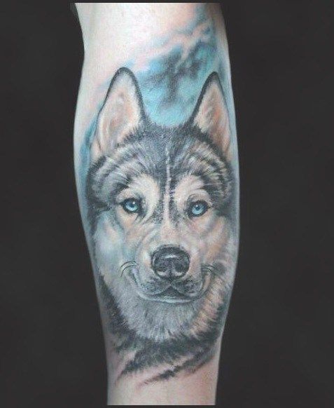 realistic black and white Husky with blue eyes in a blue shadow tattoo on the leg