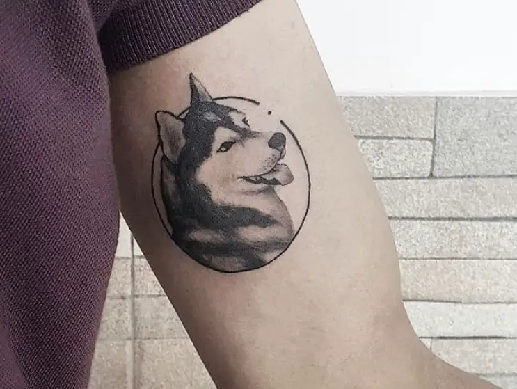 a Husky looking sideways while sticking its tongue out inside a circle tattoo on the biceps