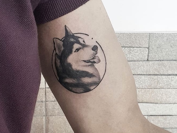 a Husky looking sideways while sticking its tongue out inside a circle tattoo on the biceps