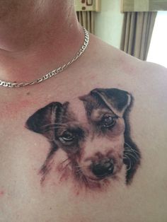 face of a Jack Russell Terrier Tattoo on the chest