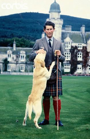 A Labrador Retriever named Harvey standing leaning towards Prince Charles