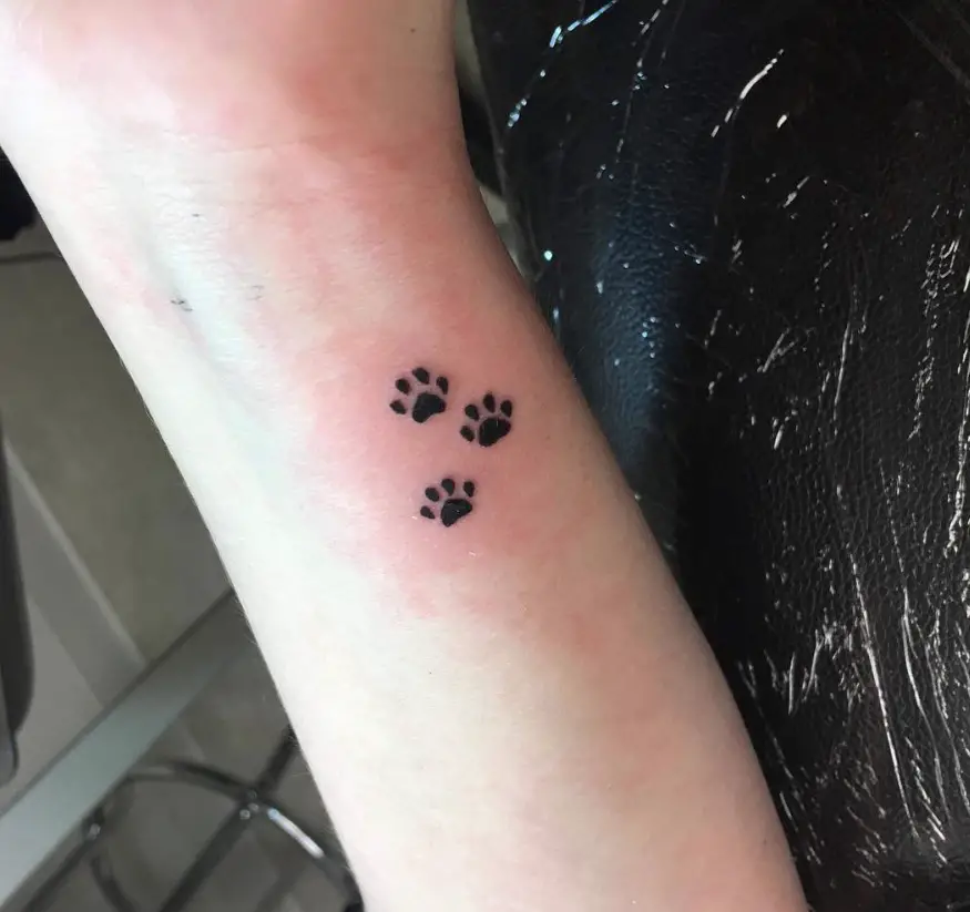 three small paw prints tattoo on the wrist
