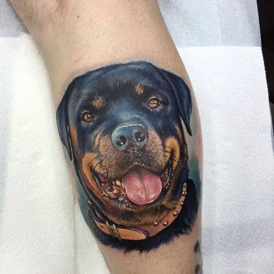 3d smiling face of Rottweiler Tattoo on the leg