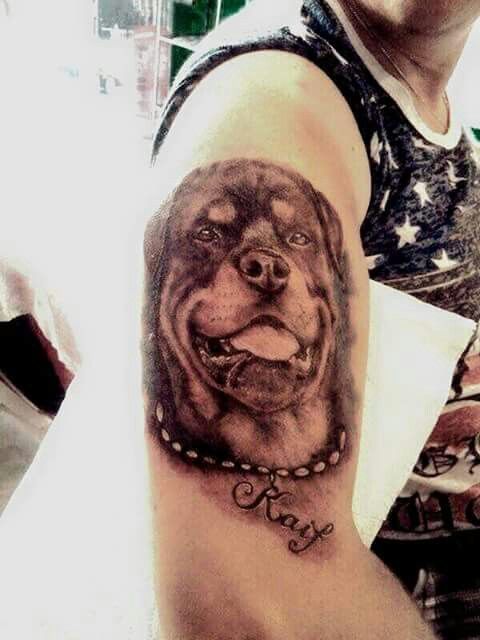 3D face of Rottweiler Tattoo on the shoulder