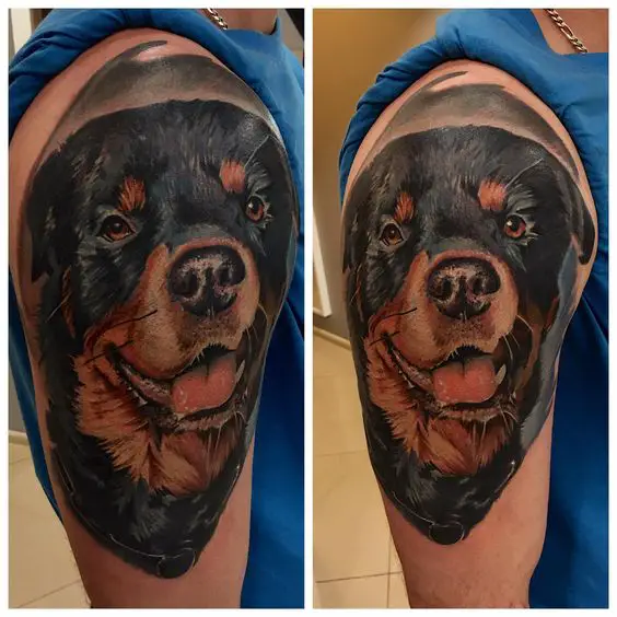 smiling face of Rottweiler Tattoo on the shoulder