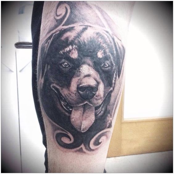 3D face of Rottweiler with its tongue sticking out Tattoo
