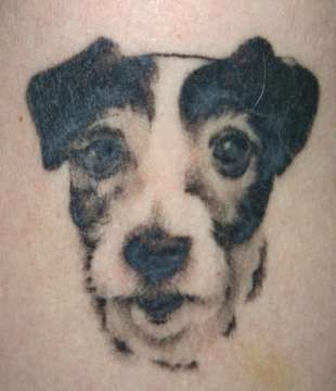 face of a Jack Russell Terrier Tattoo