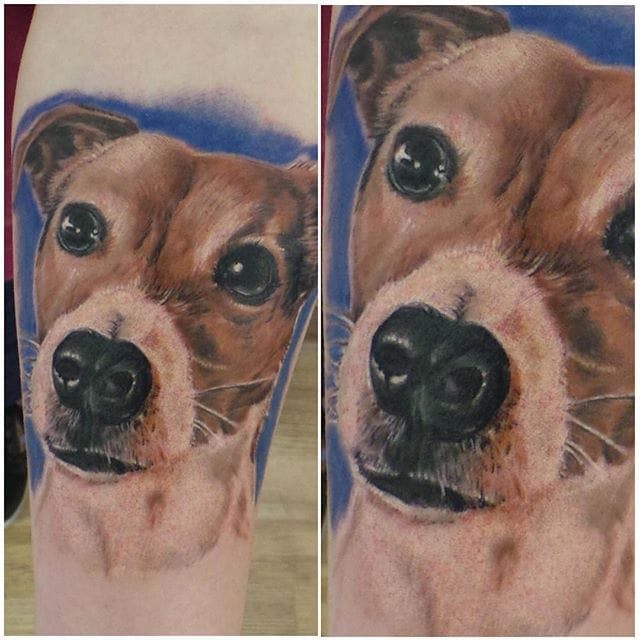 curious face of a Jack Russell Terrier Tattoo