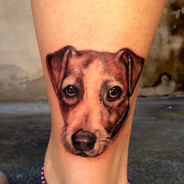 begging face of a Jack Russell Terrier Tattoo on the leg