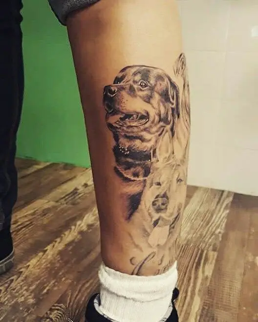 3D face of Rottweiler Tattoo on the leg