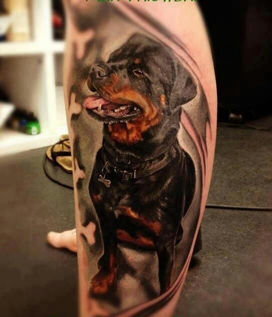 realistic black and brown Rottweiler sitting with its tongue out tattoo on the leg