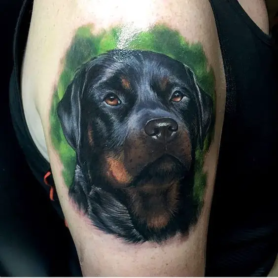 3D black and tan Rottweiler with green shadow background tattoo on the shoulder