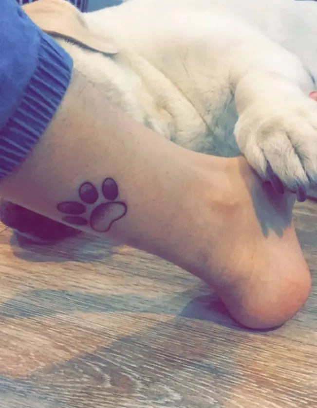 paw print tattoo on the back of lower leg