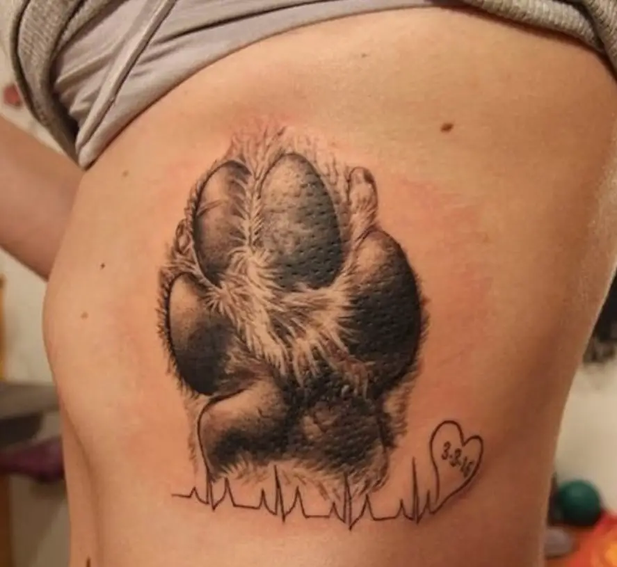 large paw with fur tattoo on the rib part of t1he body