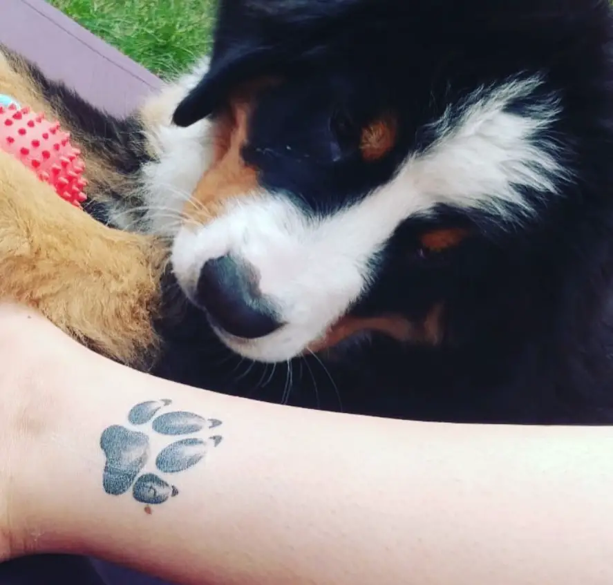 a 3D pw print tattoo on the leg of the woman with her dog staring at it behind