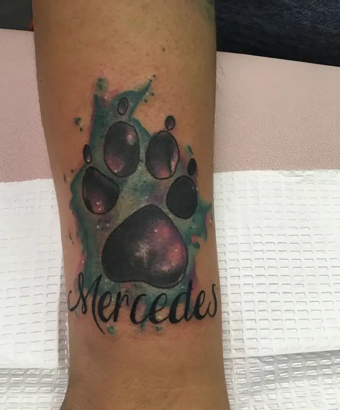 large paw print with turquoise and purple paint background and with name mercedes tattoo on the leg