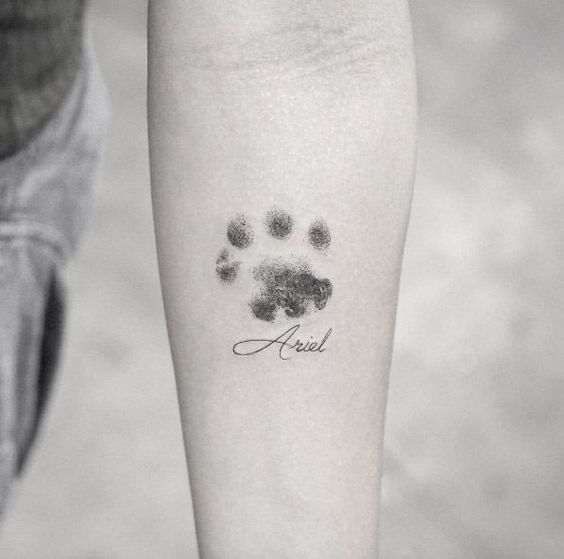 3D paw print with name Ariel tattoo on the forearm