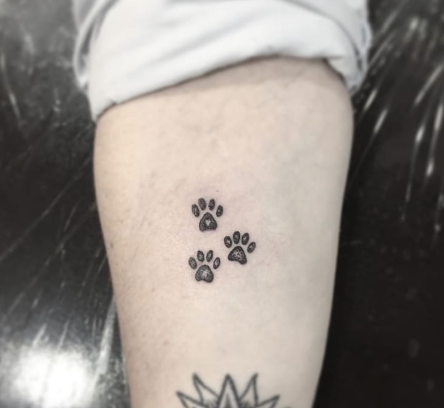 three paw prints tattoo on the forearm