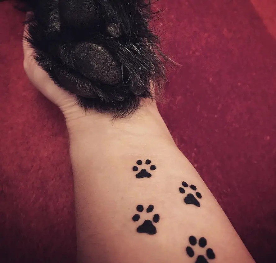 four small paw print tattoo on wrist