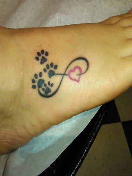 four paw prints in an infinity sign tattoo on the foot