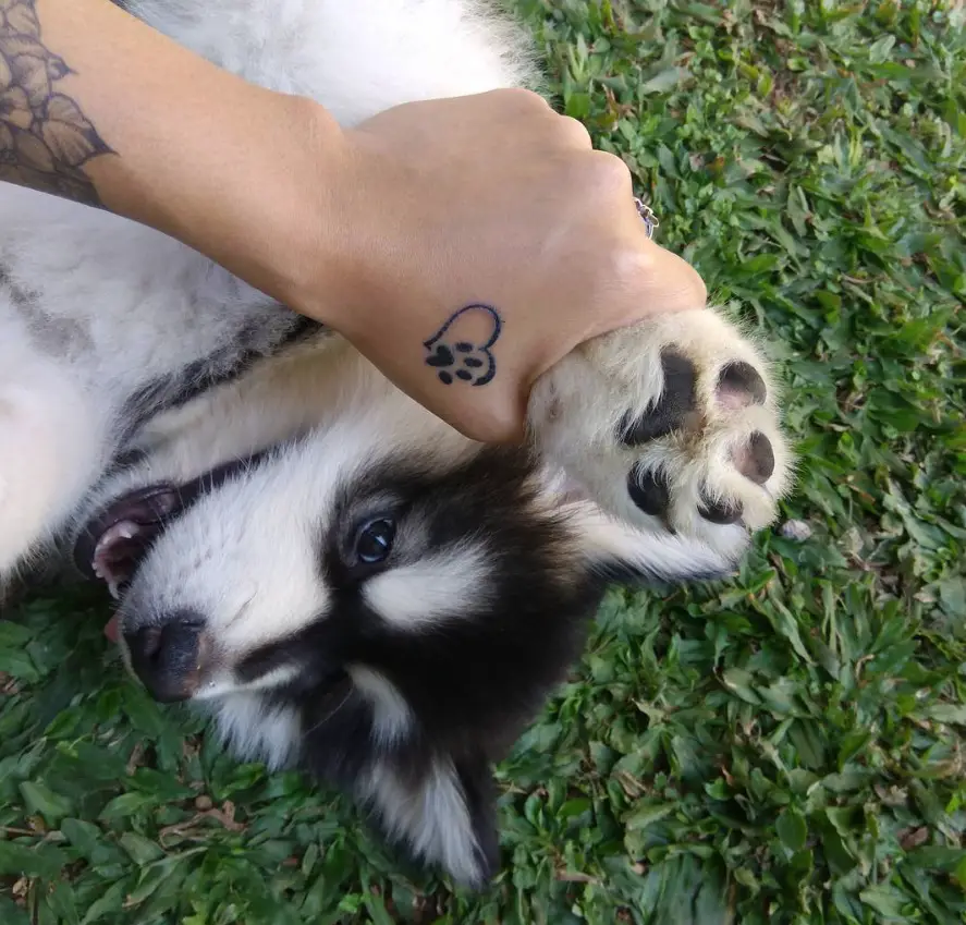 a woman with a paw print tattoo on its hand while holding the paws of her puppy lying on the grass
