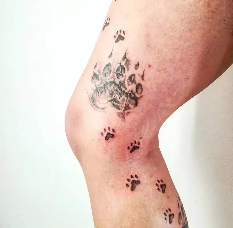 large paw print together with small paw prints tattoo on the leg