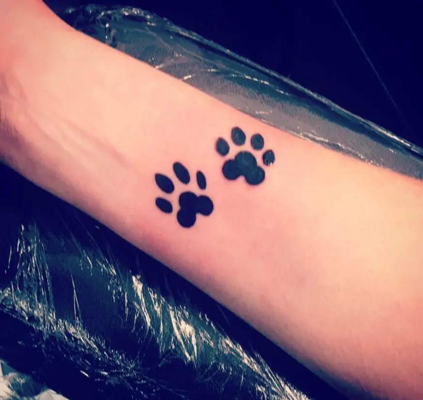two paw prints tattoo on the wrist